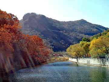 管家婆黑白马报图库，东风景逸论坛